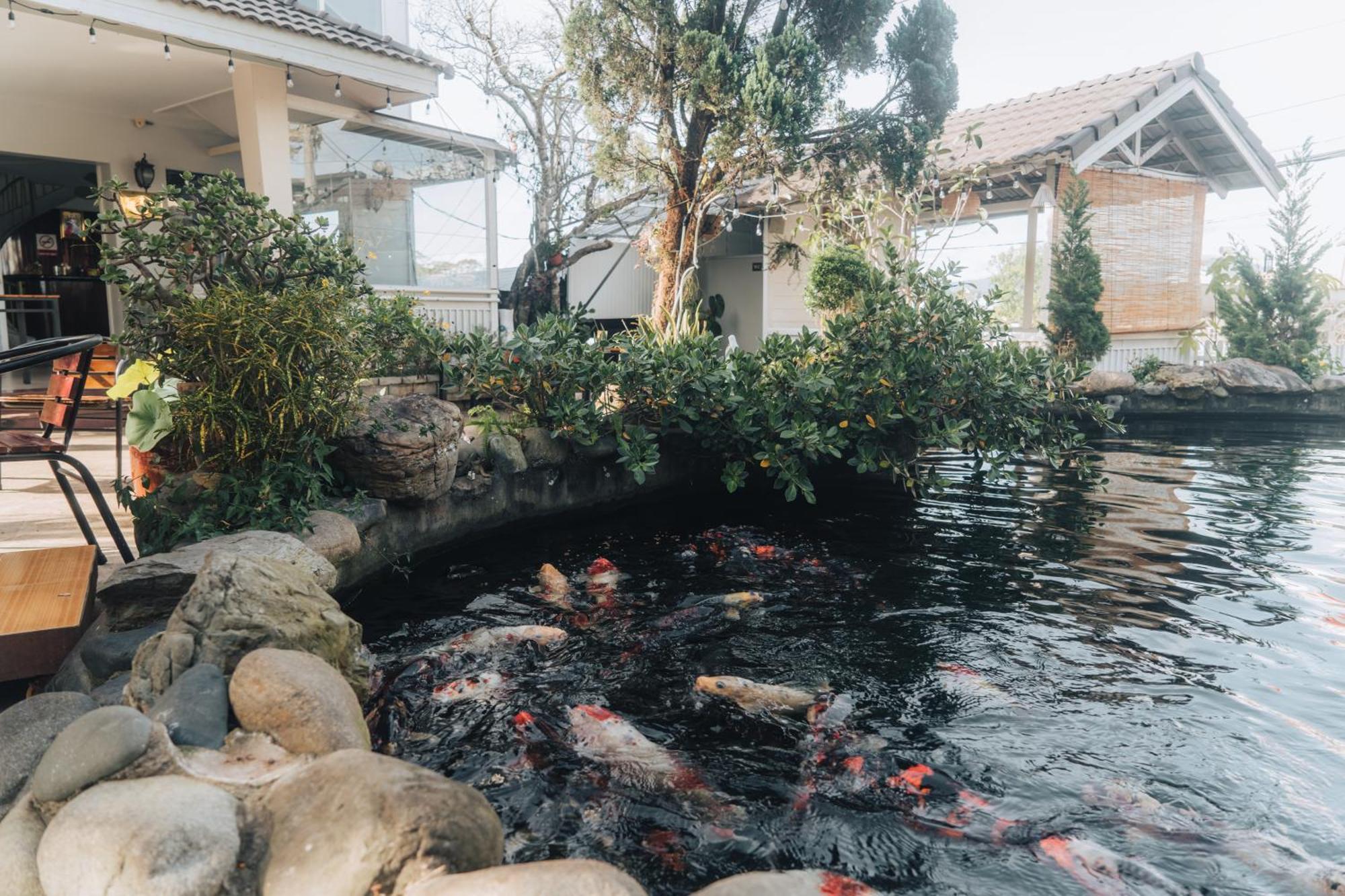 Villa Hotel Du Thuyen Đà Lạt Ngoại thất bức ảnh